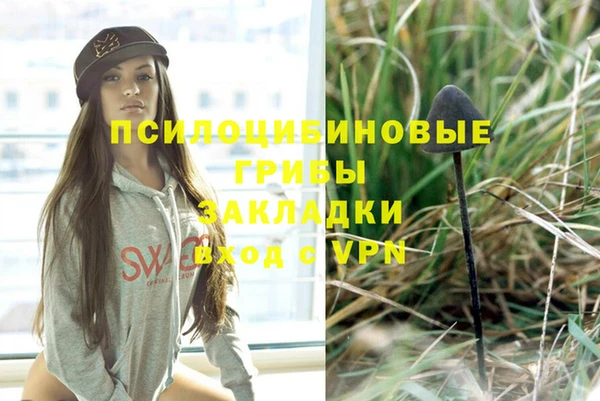 ГАЛЛЮЦИНОГЕННЫЕ ГРИБЫ Елизово