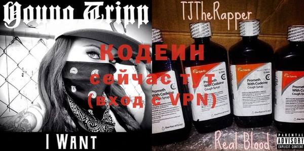 ГАЛЛЮЦИНОГЕННЫЕ ГРИБЫ Елизово