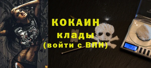ГАЛЛЮЦИНОГЕННЫЕ ГРИБЫ Елизово
