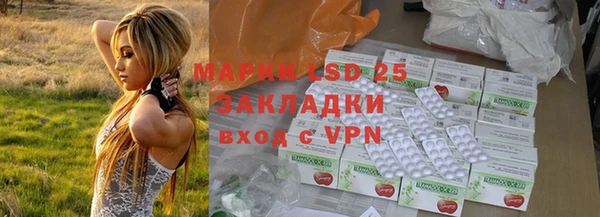 ГАЛЛЮЦИНОГЕННЫЕ ГРИБЫ Елизово
