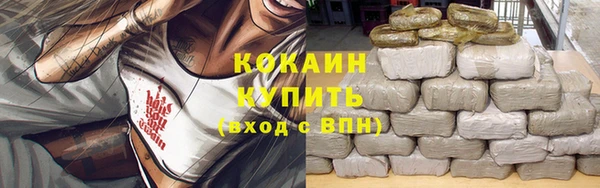 ГАЛЛЮЦИНОГЕННЫЕ ГРИБЫ Елизово