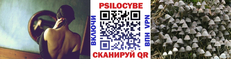 хочу наркоту  Сосновоборск  Галлюциногенные грибы мицелий 