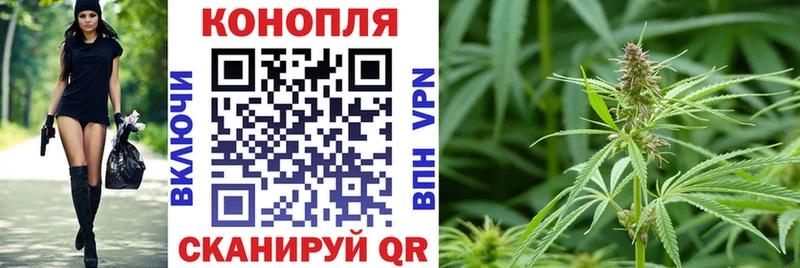 Каннабис семена Сосновоборск